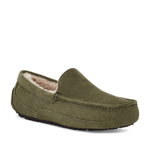 Mens Burnt Olive Ascot Slippers 98017 by UGG from Hurleys