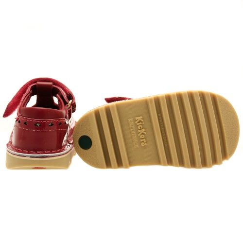 Infant Dark Red & Gold Kick T Diamond (5-11) 23062 by Kickers from Hurleys