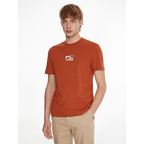 Mens Gingerbread Brown Graphic Logo S/s T Shirt 110347 by Calvin Klein from Hurleys