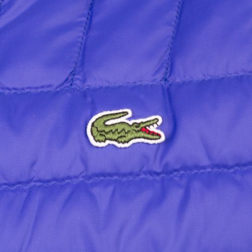 Mens Steamer Baffle Jacket 61820 by Lacoste from Hurleys