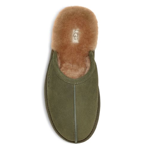 Mens Burnt Olive Scuff Slippers 87357 by UGG from Hurleys