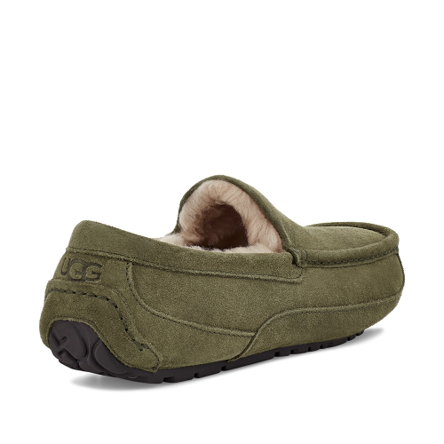 Mens Burnt Olive Ascot Slippers 98018 by UGG from Hurleys