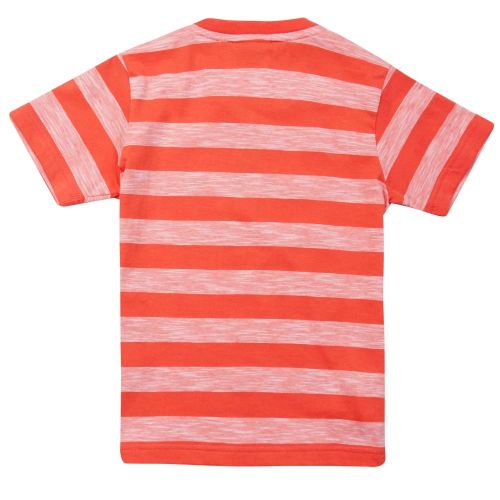 Boys Watermelon Striped Jersey S/s T Shirt 23345 by Lacoste from Hurleys