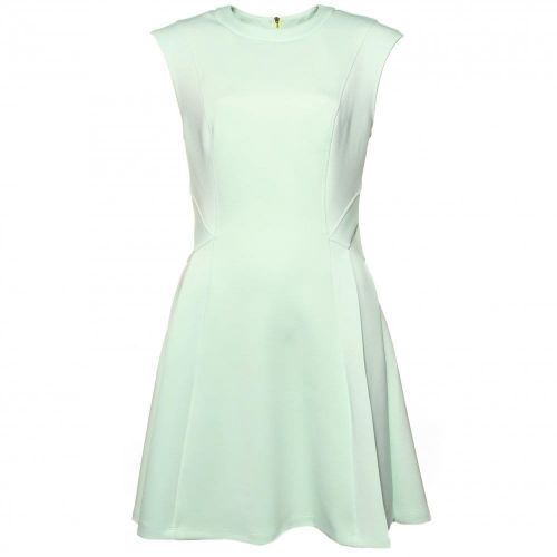 Womens Pale Green Nistee Dress 63852 by Ted Baker from Hurleys