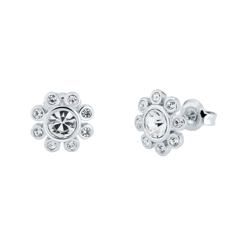 Womens Silver Alliei Crystal Aurora Studs 98420 by Ted Baker from Hurleys