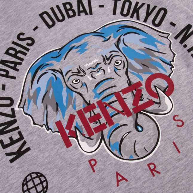Boys Grey Kairon Elephant L/s T Shirt